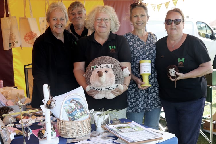 Watchet Hedgehogs stall at the Watchet Gardening Show 2024
